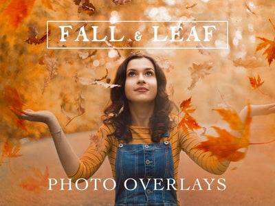 70 Natural Falling Autumn Leaves Photo Overlays - CityTurtles