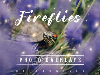 30 Dreamy Firefly Photo Overlays - CityTurtles