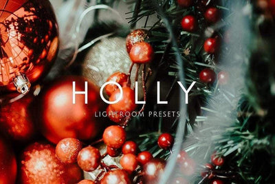 Rich Vibrant HOLLY Holiday Lightroom Presets - CityTurtles