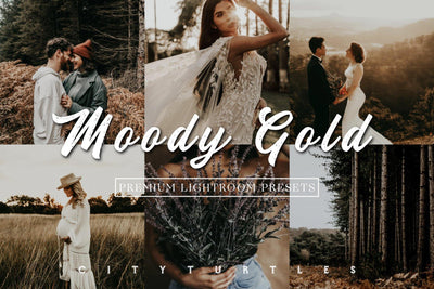 MOODY GOLD Outdoor Warm Rustic Portrait Wedding Lightroom Presets - CityTurtles