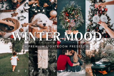 Winter Mood Holiday Lightroom Presets - CityTurtles